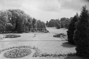 Brynek park - Reprodukcja 28741