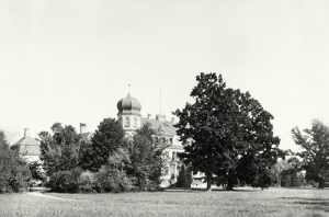 Brynek pałac - Reprodukcja 28745