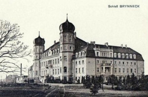 Brynek pałac - Reprodukcja 28748