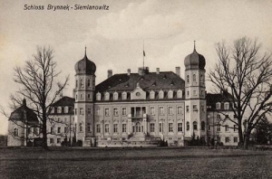 Brynek pałac - Reprodukcja 28749