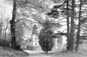 Kamieniec pałac - Reprodukcja 28759