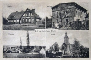 Łubie widokowa - Reprodukcja 28781