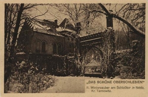 Nakło Śląskie - Reprodukcja 28802
