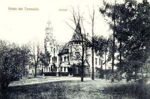 Nakło Śląskie pałac - Reprodukcja 28805