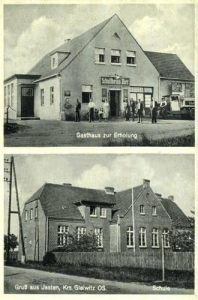 Jasiona widokowa - Reprodukcja 28829
