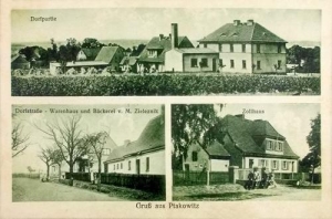 Ptakowice widokowa - Reprodukcja 28830