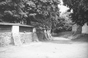 Bełk - Reprodukcja 28841
