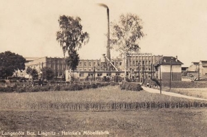 Olszyna fabryka - Reprodukcja 28858
