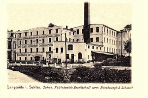 Olszyna - Reprodukcja 28862