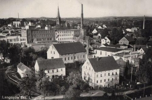 Olszyna panorama - Reprodukcja 28871