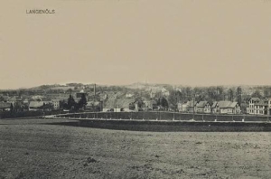 Olszyna panorama - Reprodukcja 28872