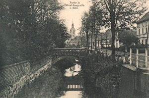 Olszyna - Reprodukcja 28891
