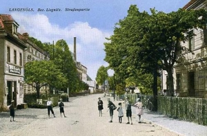 Olszyna - Reprodukcja 28896