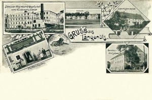 Olszyna widokowa - Reprodukcja 28907