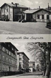 Olszyna widokowa - Reprodukcja 28910