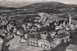 Biedrzychowice panorama - Reprodukcja 28930