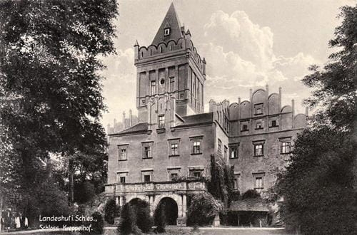 29199 (Copy).jpg