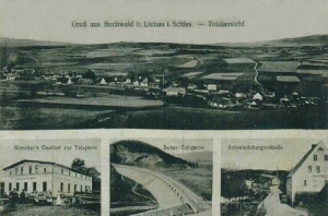 Bukówka widokowa - Reprodukcja 29223
