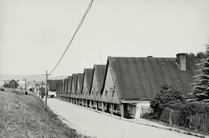 Chełmsko Śląskie - Reprodukcja 29248