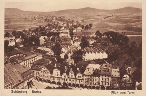 Chełmsko Śląskie - Reprodukcja 29264