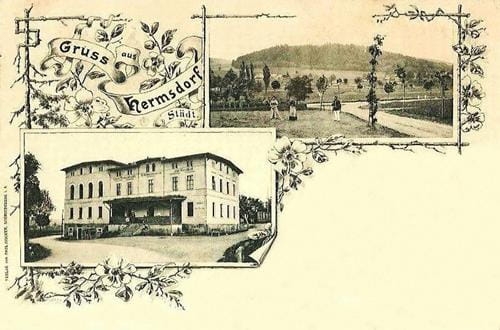 29356 (Copy).jpg