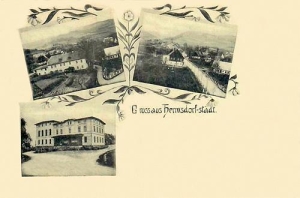 Jarkowice widokowa - Reprodukcja 29357