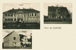 Pudliszki widokowa - Reprodukcja 29396