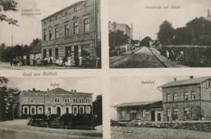 Kwilcz widokowa - Reprodukcja 29443