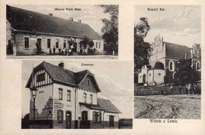 Lewice widokowa - Reprodukcja 29446