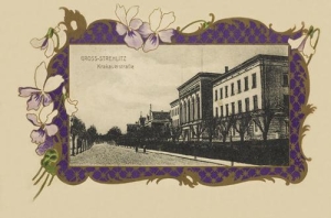 Strzelce Opolskie - Reprodukcja 29452
