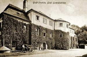 Strzelce Opolskie - Reprodukcja 29462