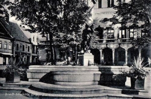 Strzelce Opolskie - Reprodukcja 29463