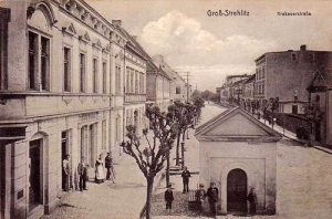 Strzelce Opolskie - Reprodukcja 29469