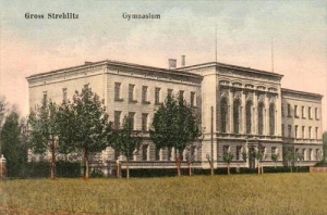 Strzelce Opolskie - Reprodukcja 29496