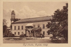 Strzelce Opolskie - Reprodukcja 29498