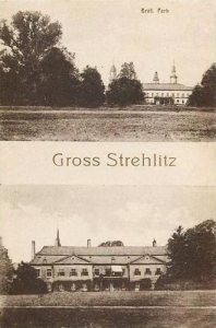 Strzelce Opolskie - Reprodukcja 29502