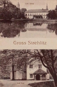 Strzelce Opolskie - Reprodukcja 29505