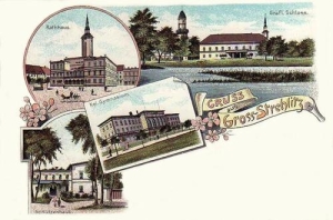 Strzelce Opolskie - Reprodukcja 29507