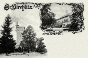 Strzelce Opolskie - Reprodukcja 29508