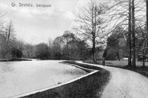 Strzelce Opolskie - Reprodukcja 29523