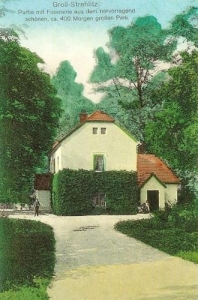 Strzelce Opolskie - Reprodukcja 29524