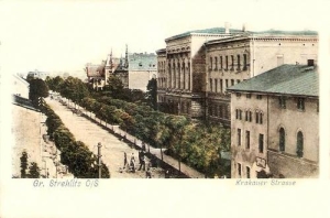 Strzelce Opolskie - Reprodukcja 29538