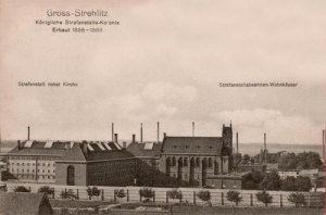 Strzelce Opolskie - Reprodukcja 29546