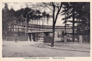Strzelce Opolskie - Reprodukcja 29560