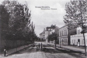 Strzelce Opolskie - Reprodukcja 29566