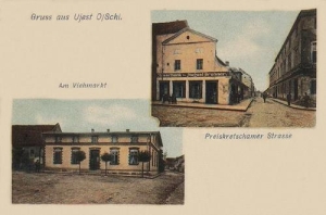 Ujazd widokowa - Reprodukcja 29603