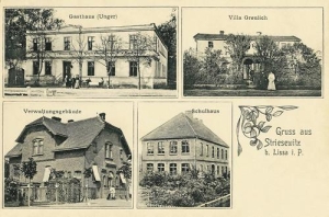 Strzyżewice widokowa - Reprodukcja 29635