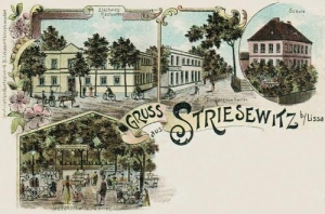 Strzyżewice widokowa - Reprodukcja 29636