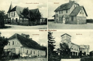 Mroczeń widokowa - Reprodukcja 29705