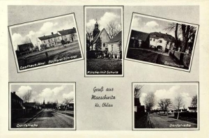 Marszowice widokowa - Reprodukcja 29720